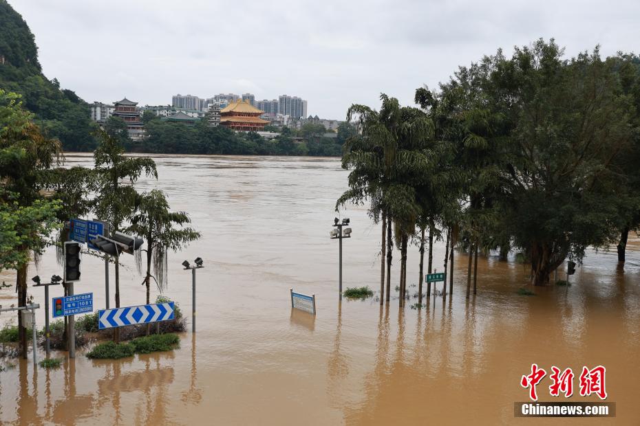 洪水最新动态，各地灾情与应对措施全面更新